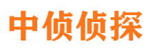 武冈市侦探调查公司